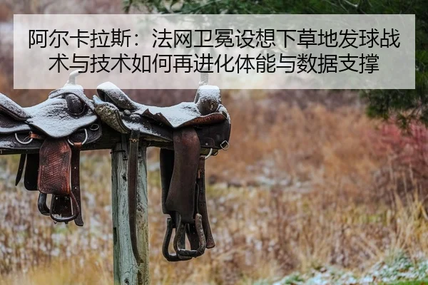 a-er-ka-la-si-fa-wang-wei-mian-she-xiang-xia-cao-di-fa-qiu-zhan-shu-yu-ji-shu-ru-he-zai-jin-hua-ti-neng-yu-shu-ju-zhi-2-743.jpg