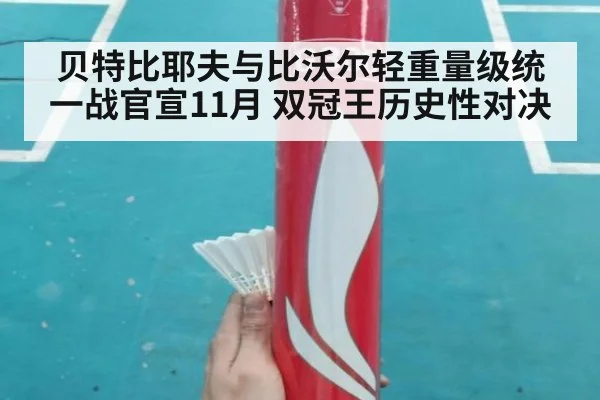 贝特比耶夫与比沃尔轻重量级统一战官宣11月 双冠王历史性对决