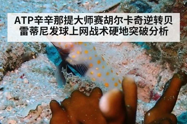 ATP辛辛那提大师赛胡尔卡奇逆转贝雷蒂尼发球上网战术硬地突破分析